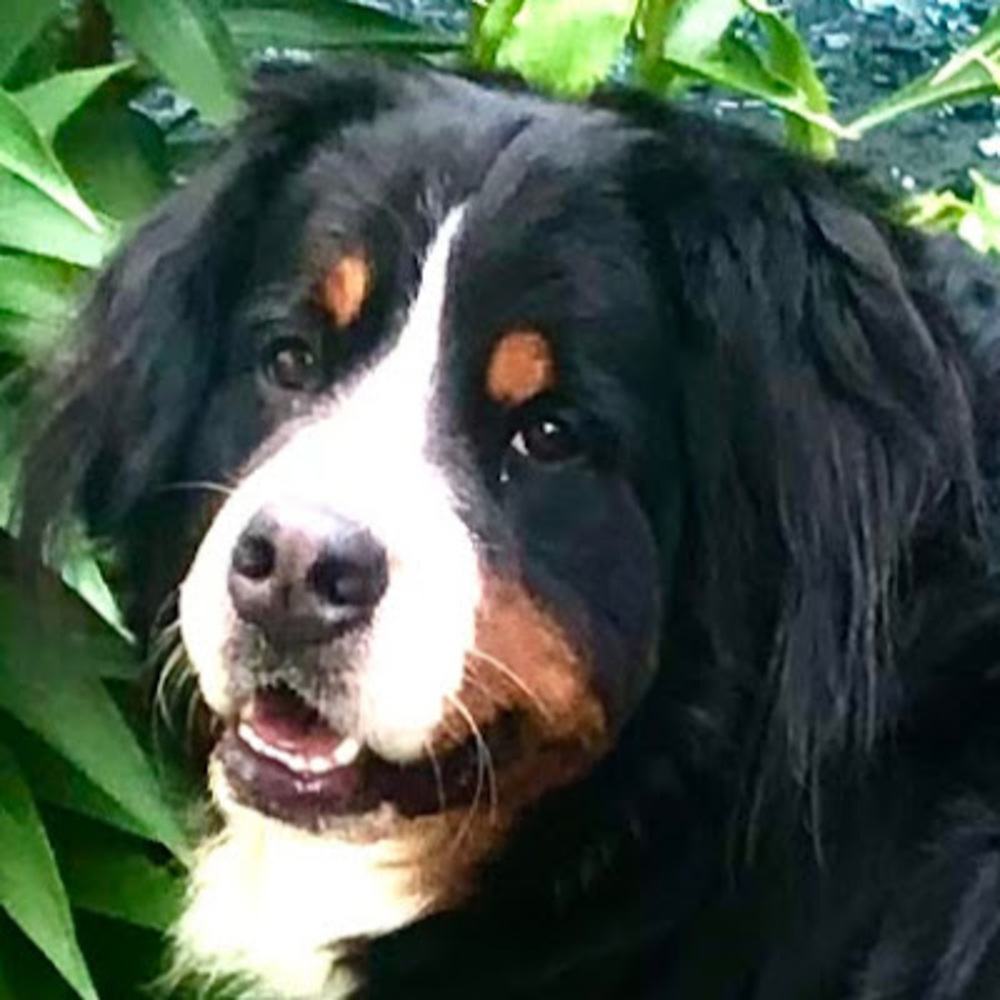 Meet your Posher, Sheilah